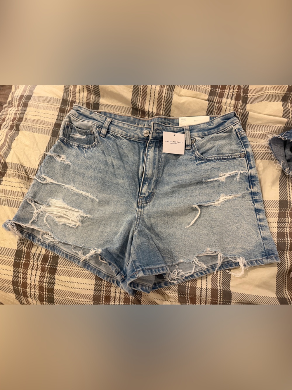 American Eagle Outfitters Light Wash Ripped Denim Shorts